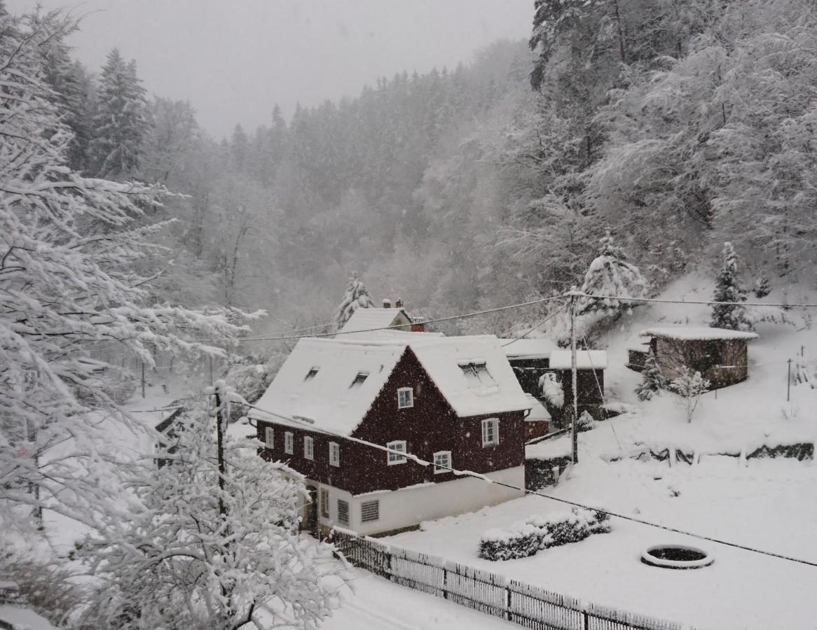 Ferienhaus Bildhauer Thiele Ottendorf  ภายนอก รูปภาพ